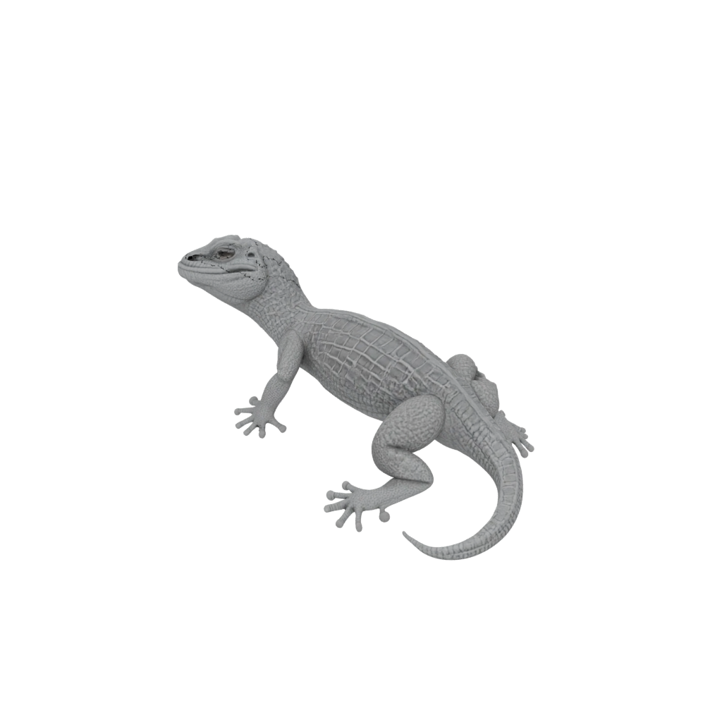 Galaxy Textured Articulated Lizard