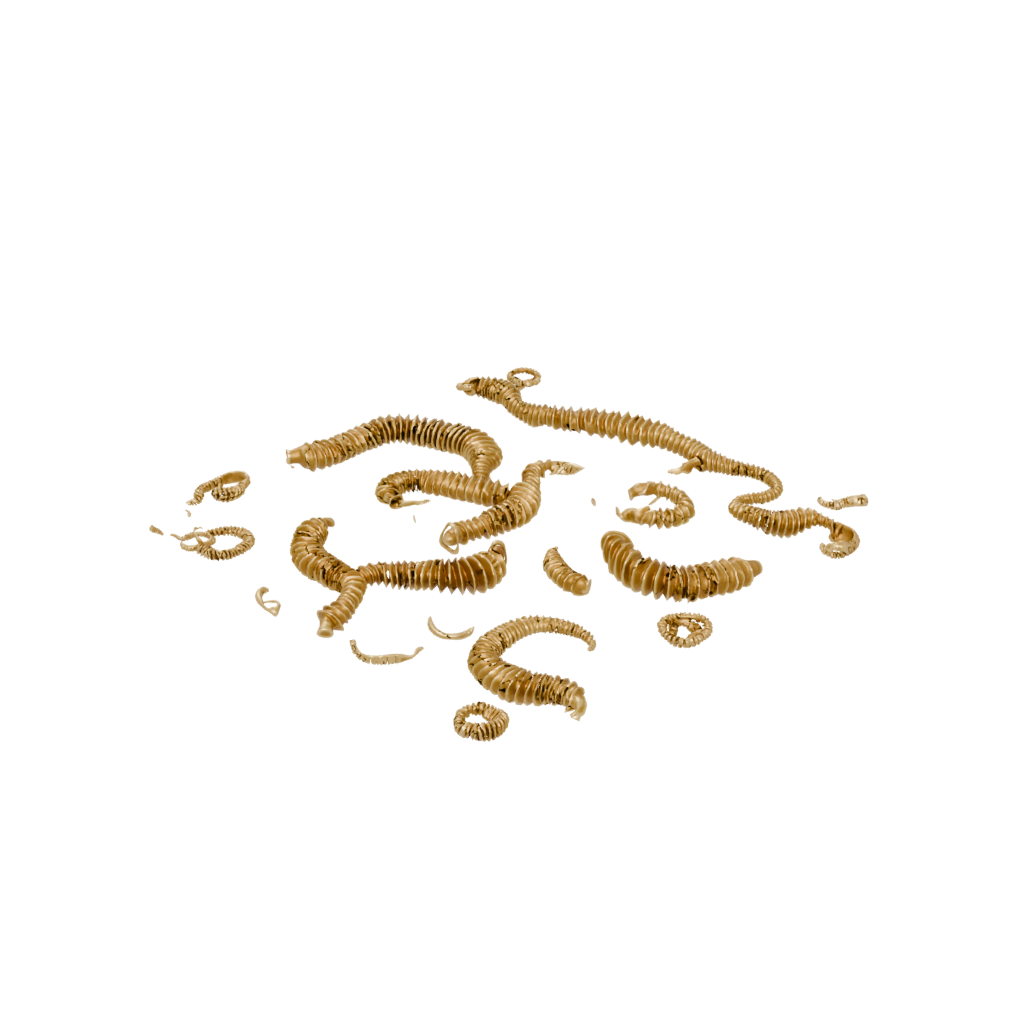 Gold Pocket Articulated Millipede