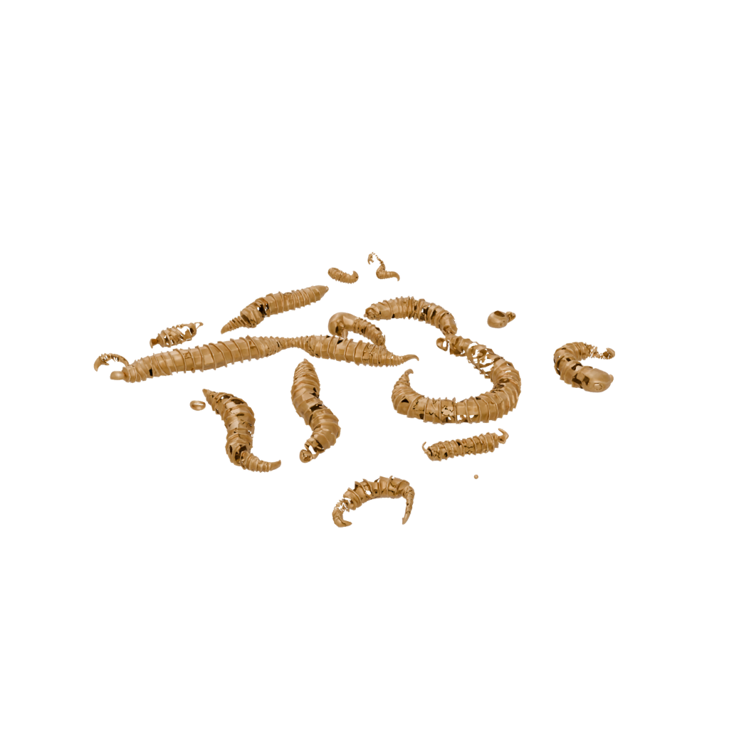 Gold Pocket Articulated Worm