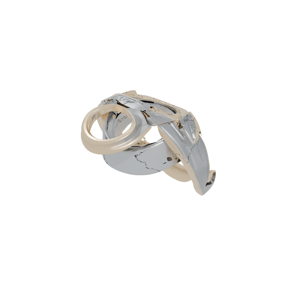 Gold Pocket Spinning Coin Ring