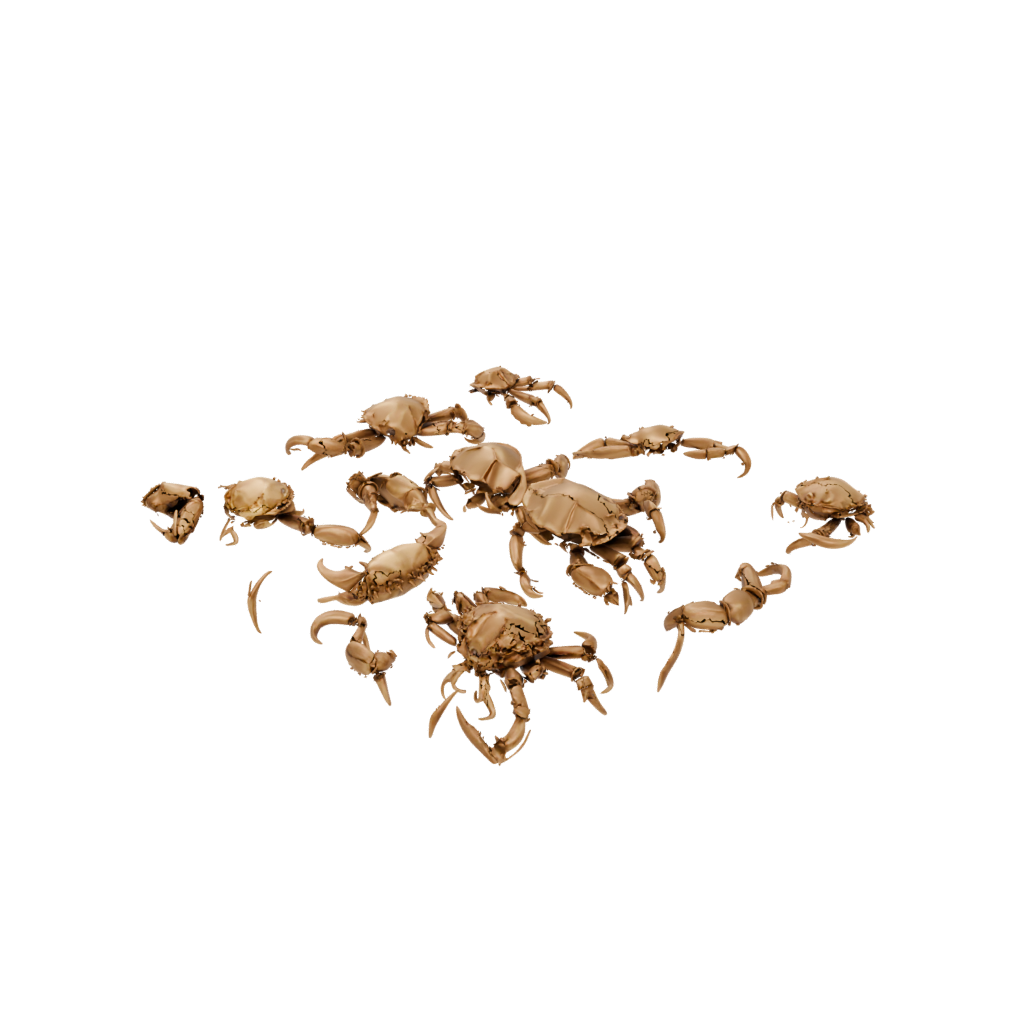 Gold Big Articulated Crab