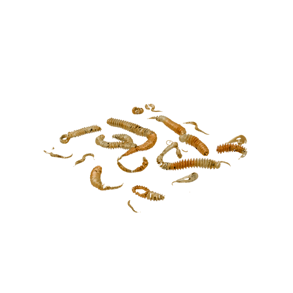 Gold Big Articulated Millipede