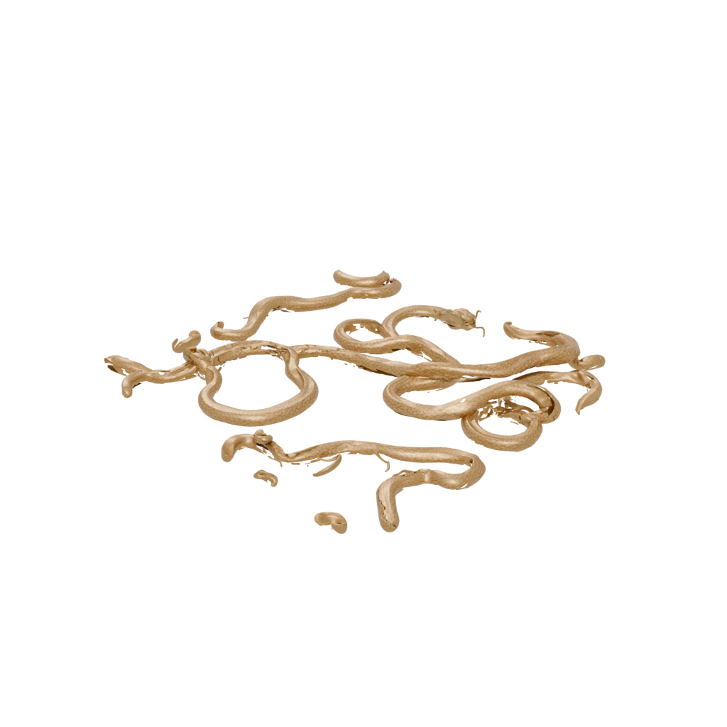Gold Big Articulated Snake Long