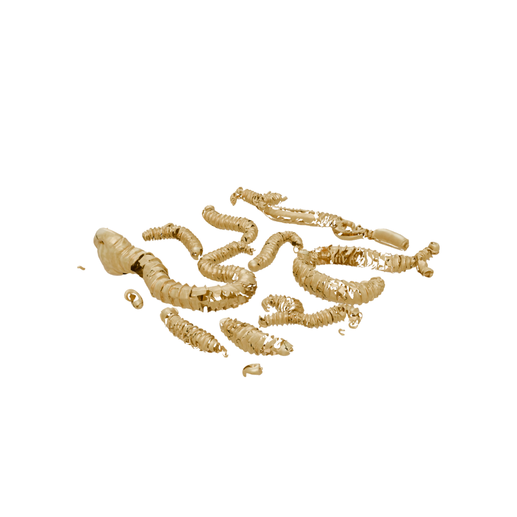 Gold Big Articulated Worm