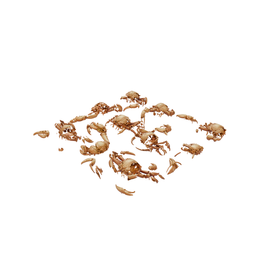 Gold Articulated Crab