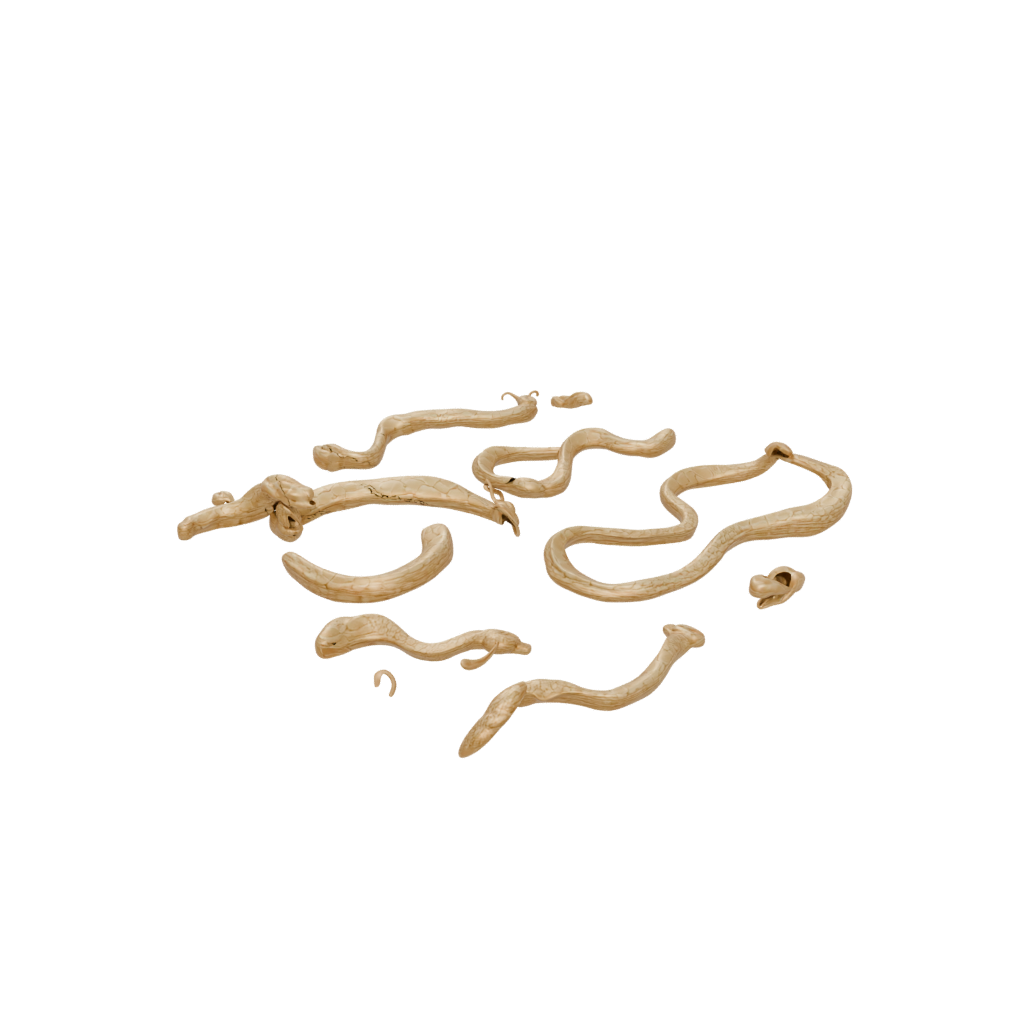 Gold Articulated Snake Long