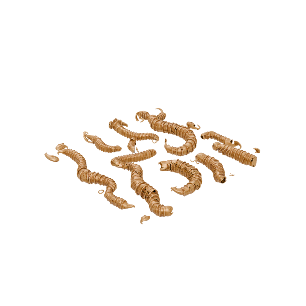 Gold Articulated Worm