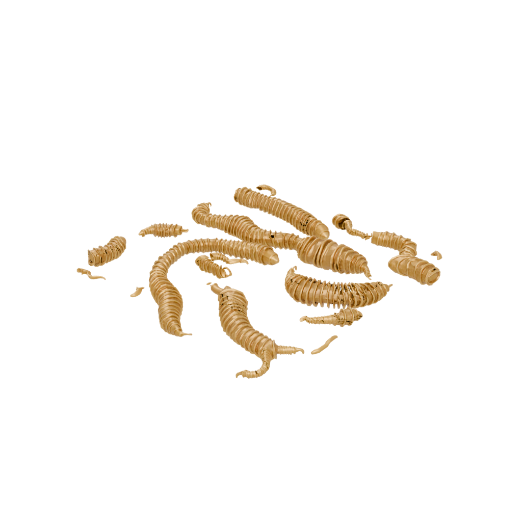 Gold Textured Articulated Millipede