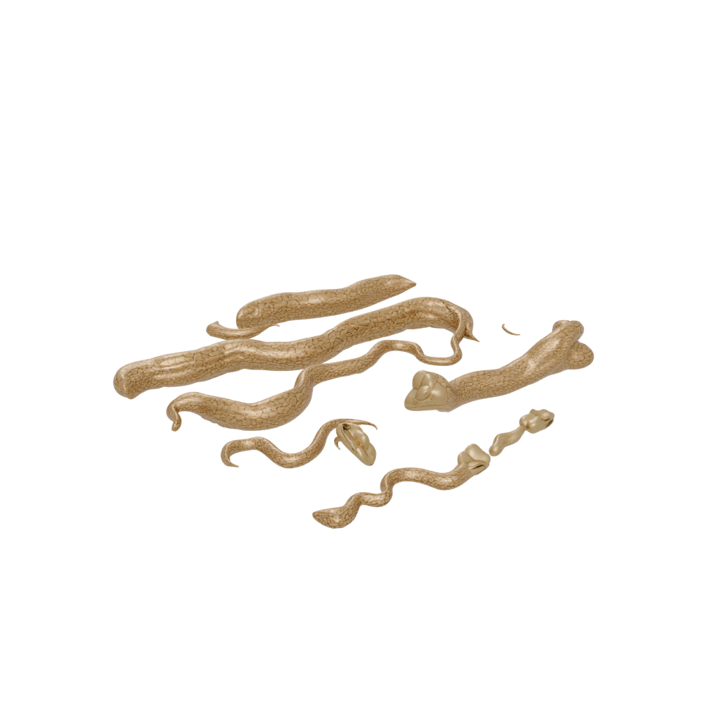 Gold Textured Articulated Snake Long