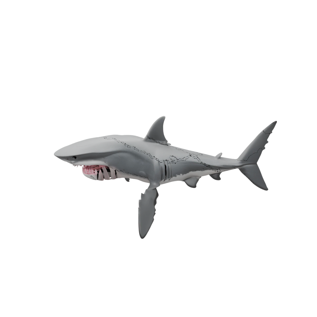 Holiday Big Articulated Shark