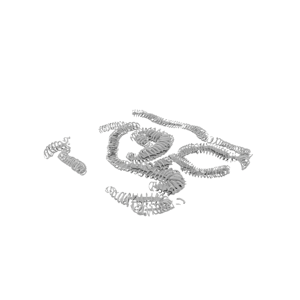Holiday Articulated Millipede