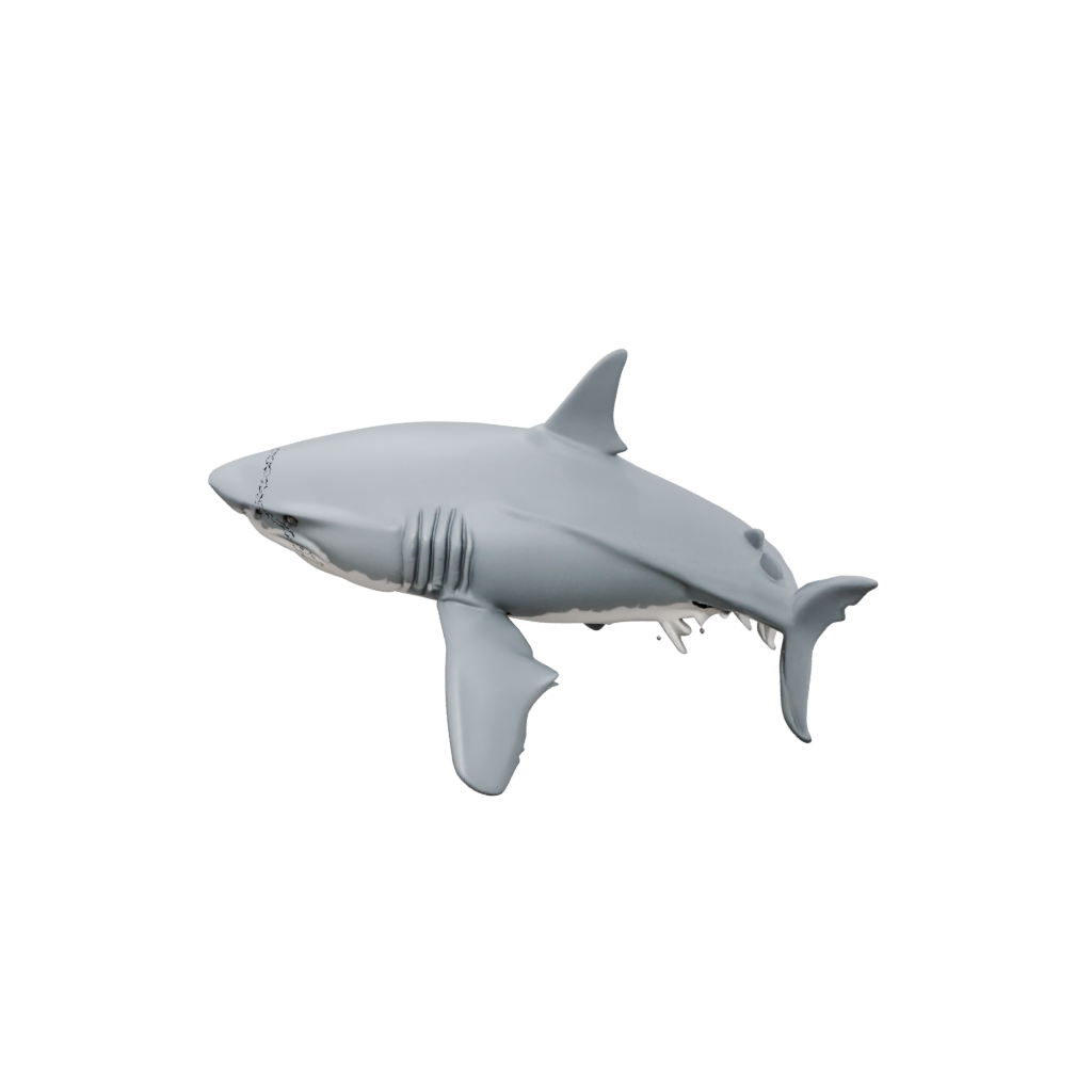 Holiday Articulated Shark