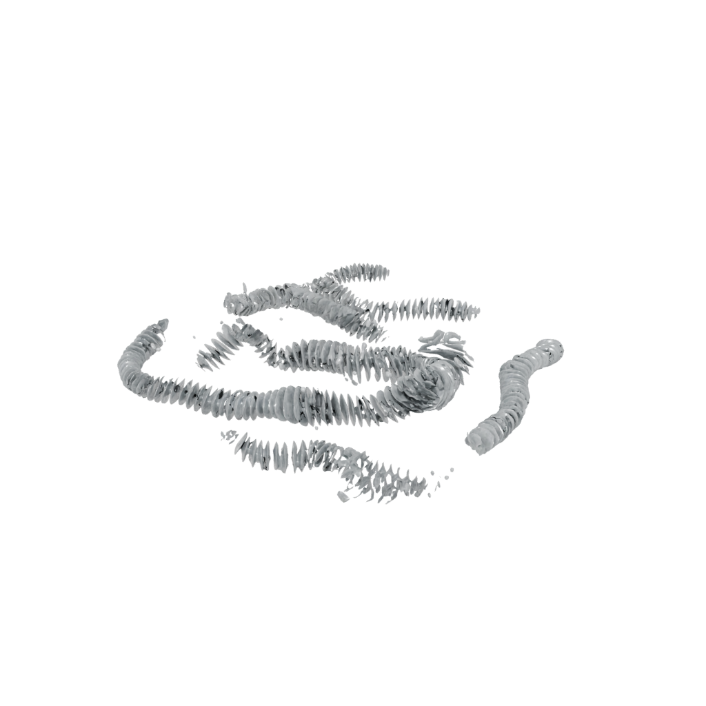 Holiday Textured Articulated Millipede