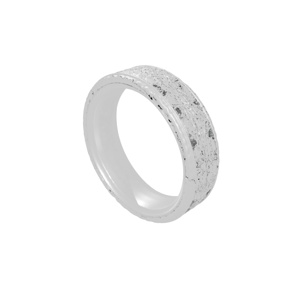 Holiday Textured Spinning Coin Ring