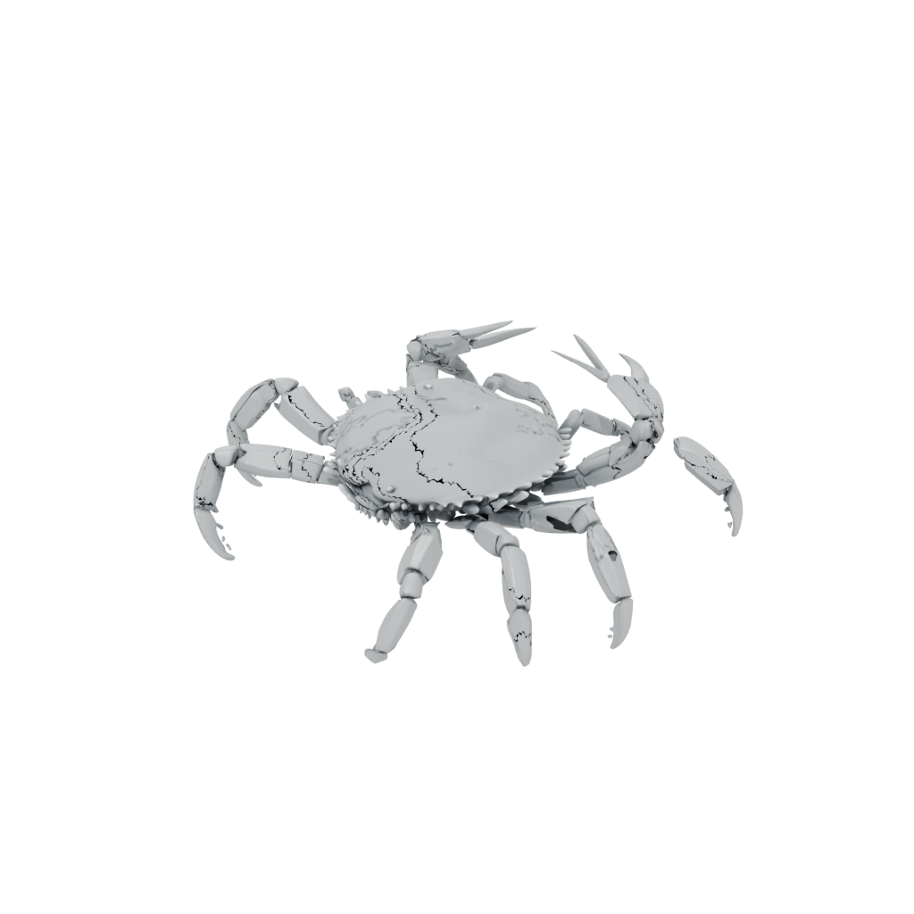 Jumbo Pocket Articulated Crab