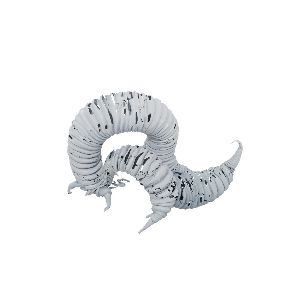 Jumbo Big Articulated Millipede