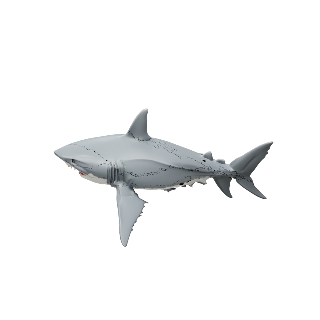 Jumbo Big Articulated Shark