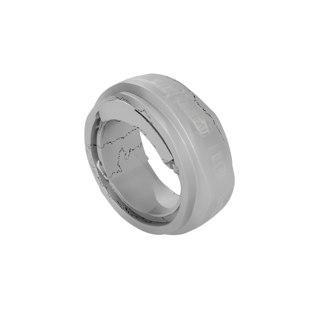 Jumbo Big Spinning Coin Ring