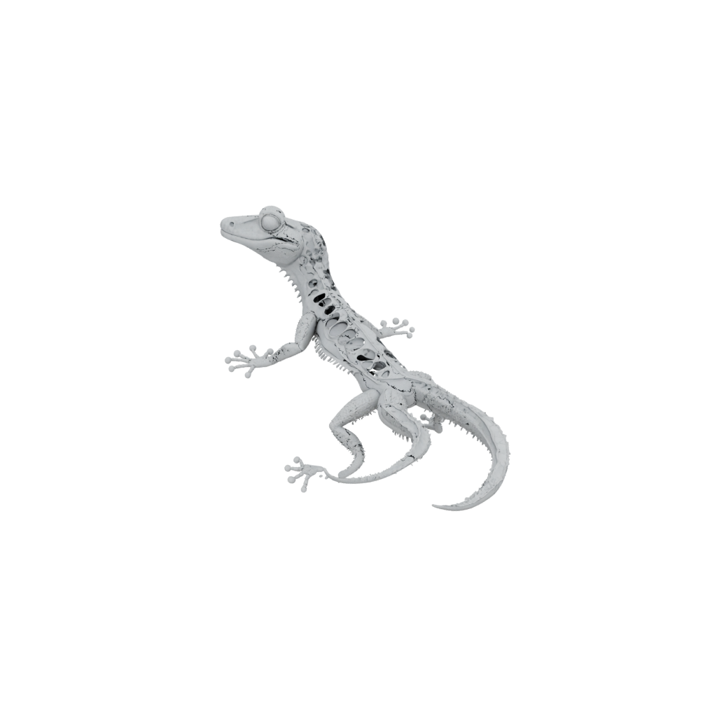 Jumbo Articulated Gecko