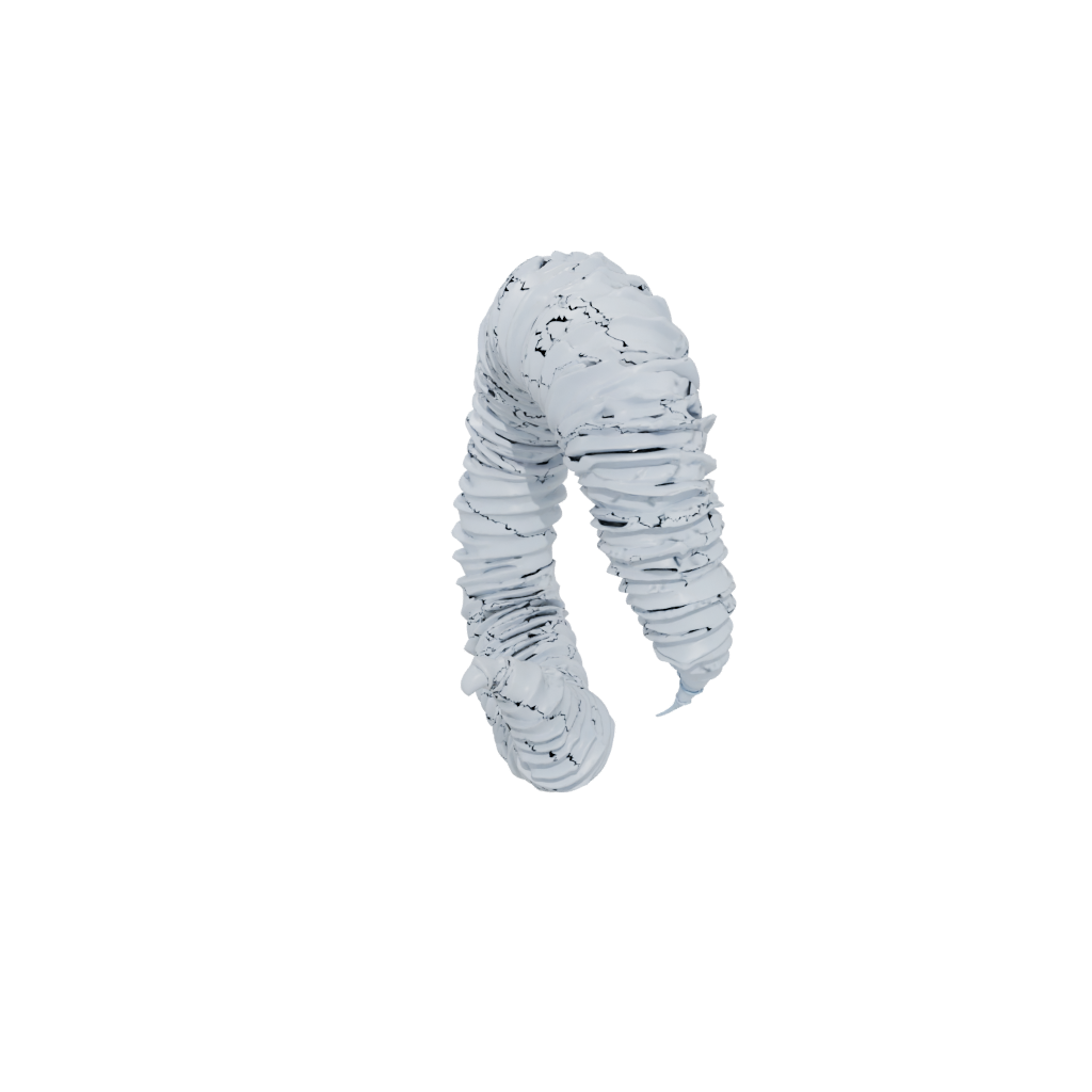 Jumbo Articulated Millipede