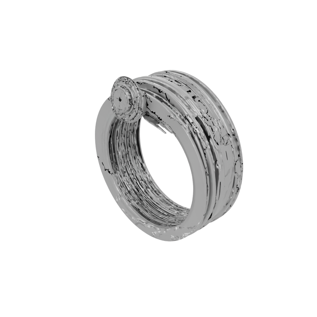 Jumbo Spinning Coin Ring