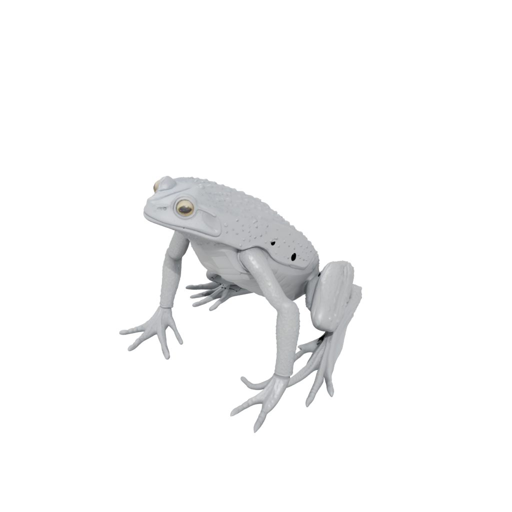 Jumbo Textured Articulated Frog