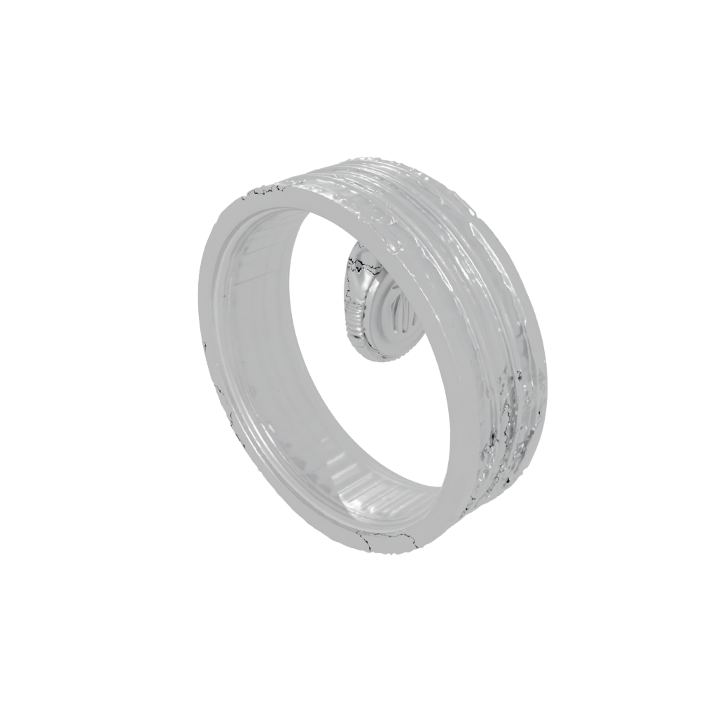 Jumbo Textured Spinning Coin Ring