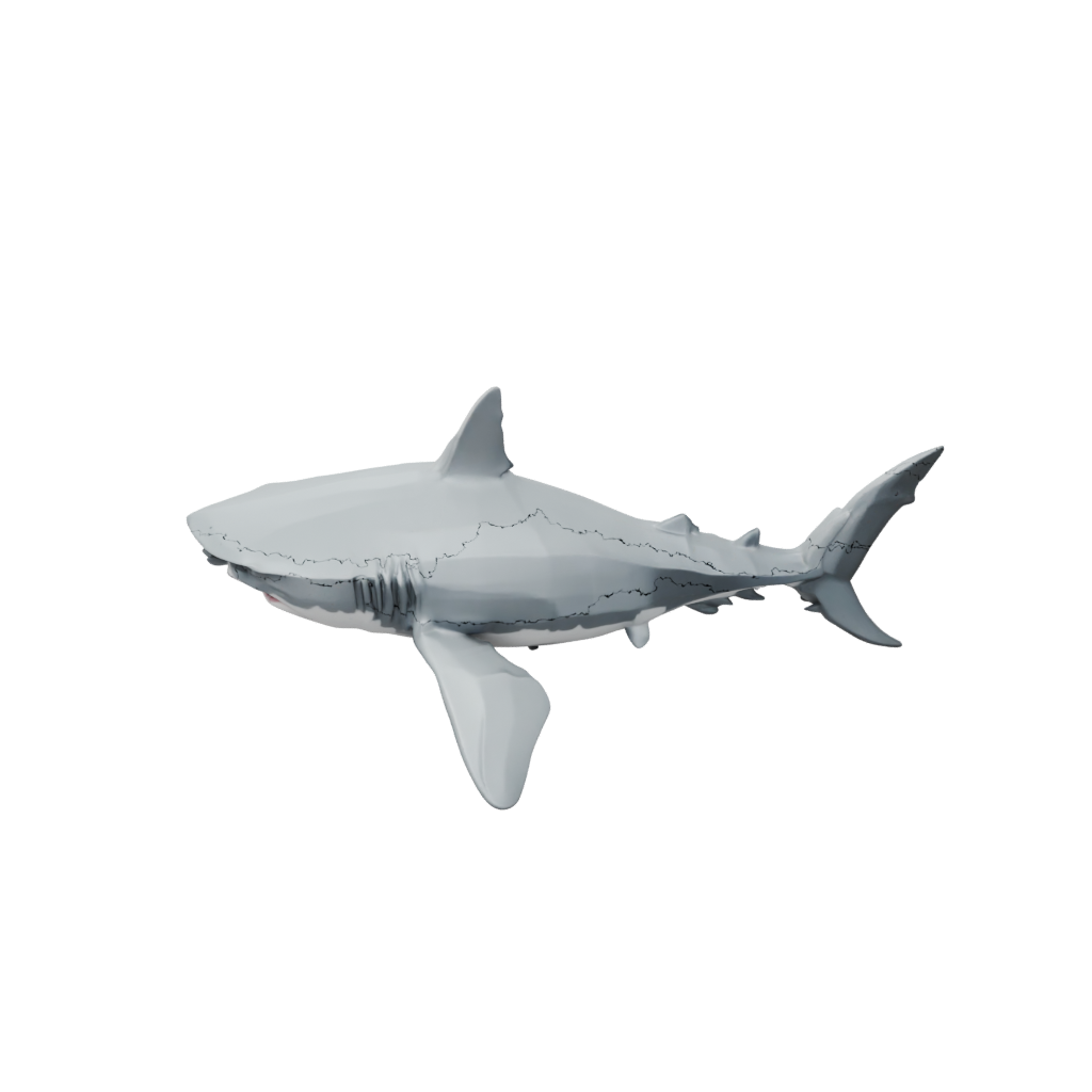 Low-Poly Soft Articulated Shark