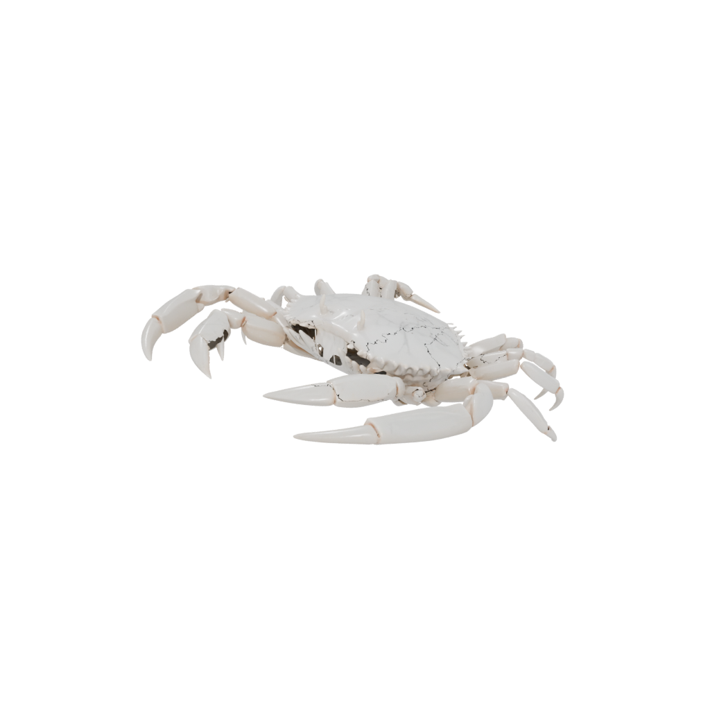 Marble Pocket Articulated Crab