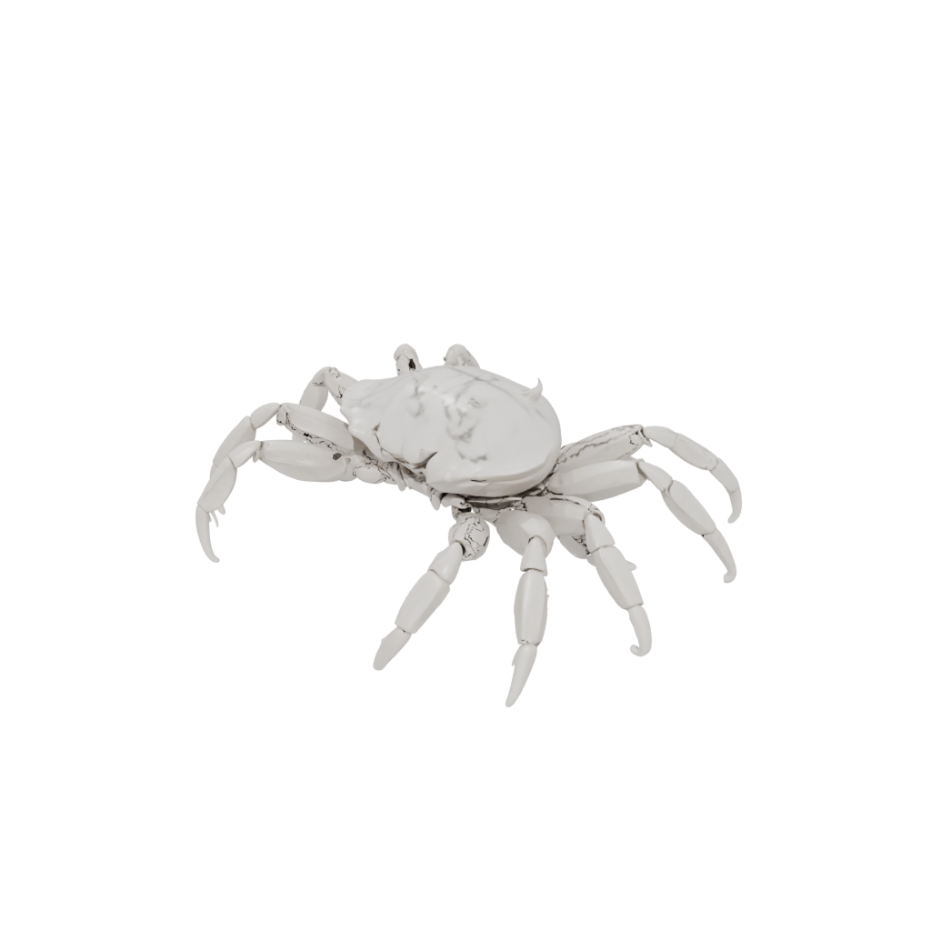 Marble Big Articulated Crab