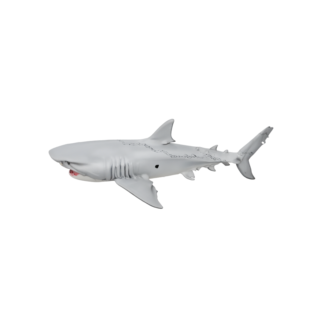 Marble Soft Articulated Shark