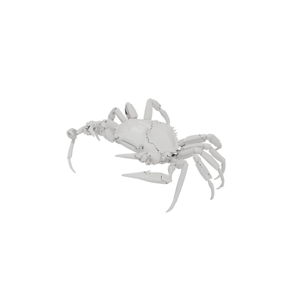 Marble Articulated Crab