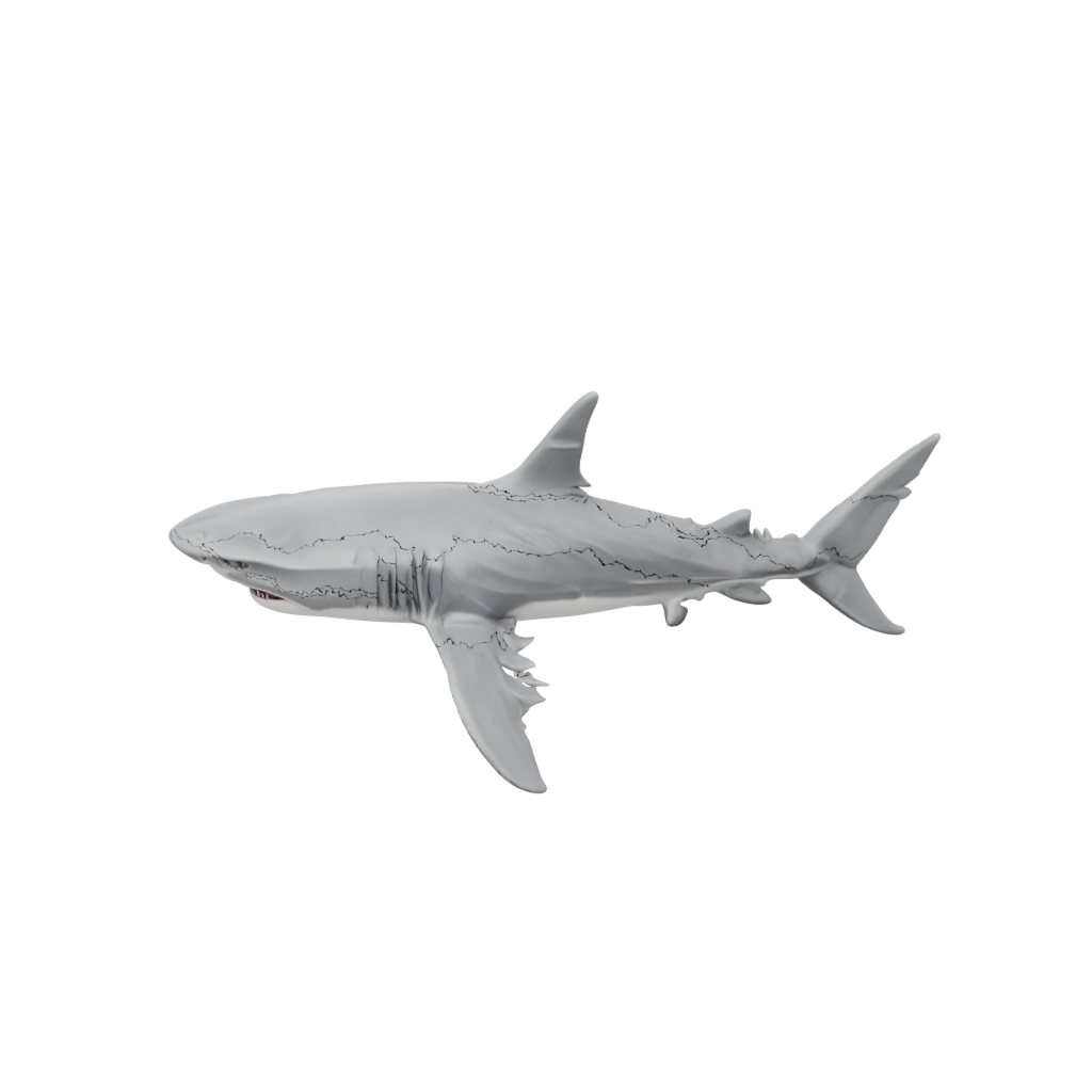Marble Articulated Shark