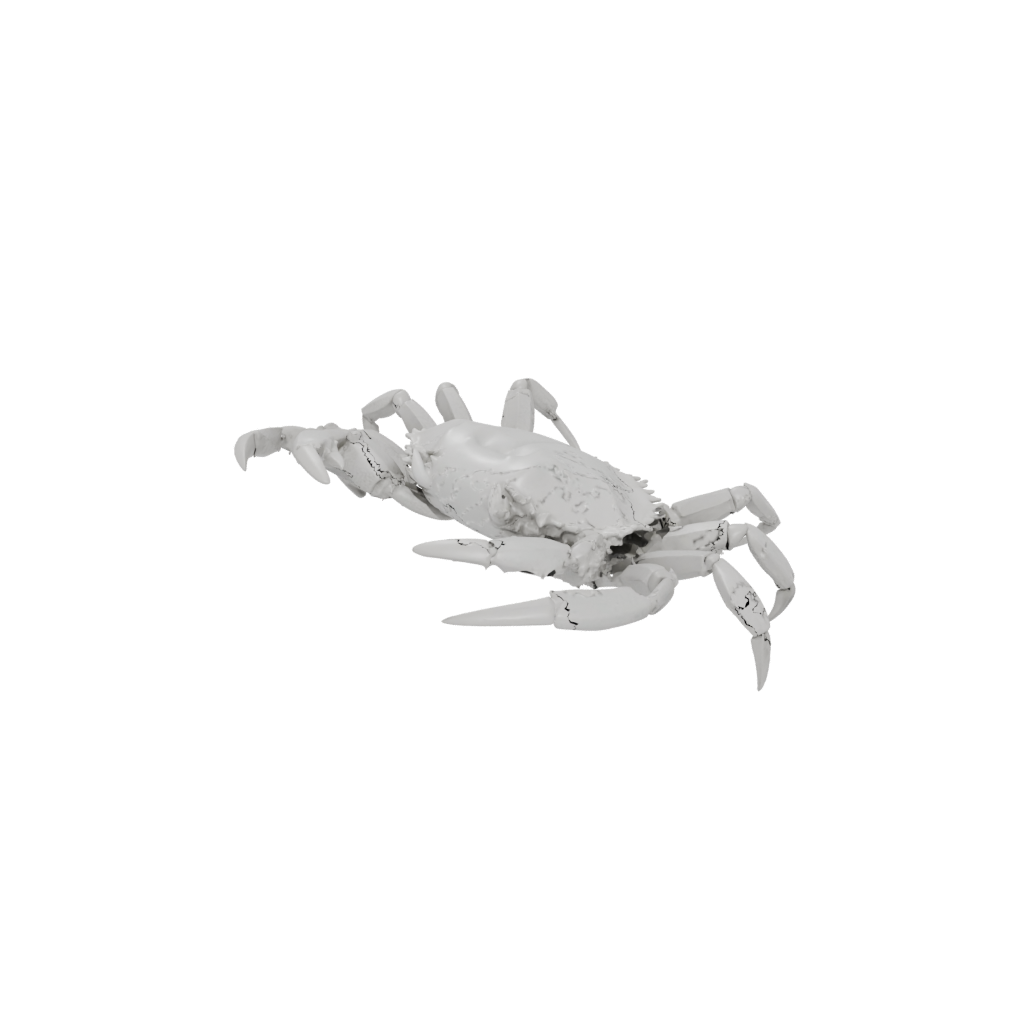 Marble Textured Articulated Crab