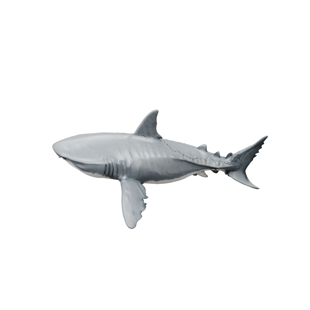Marble Textured Articulated Shark