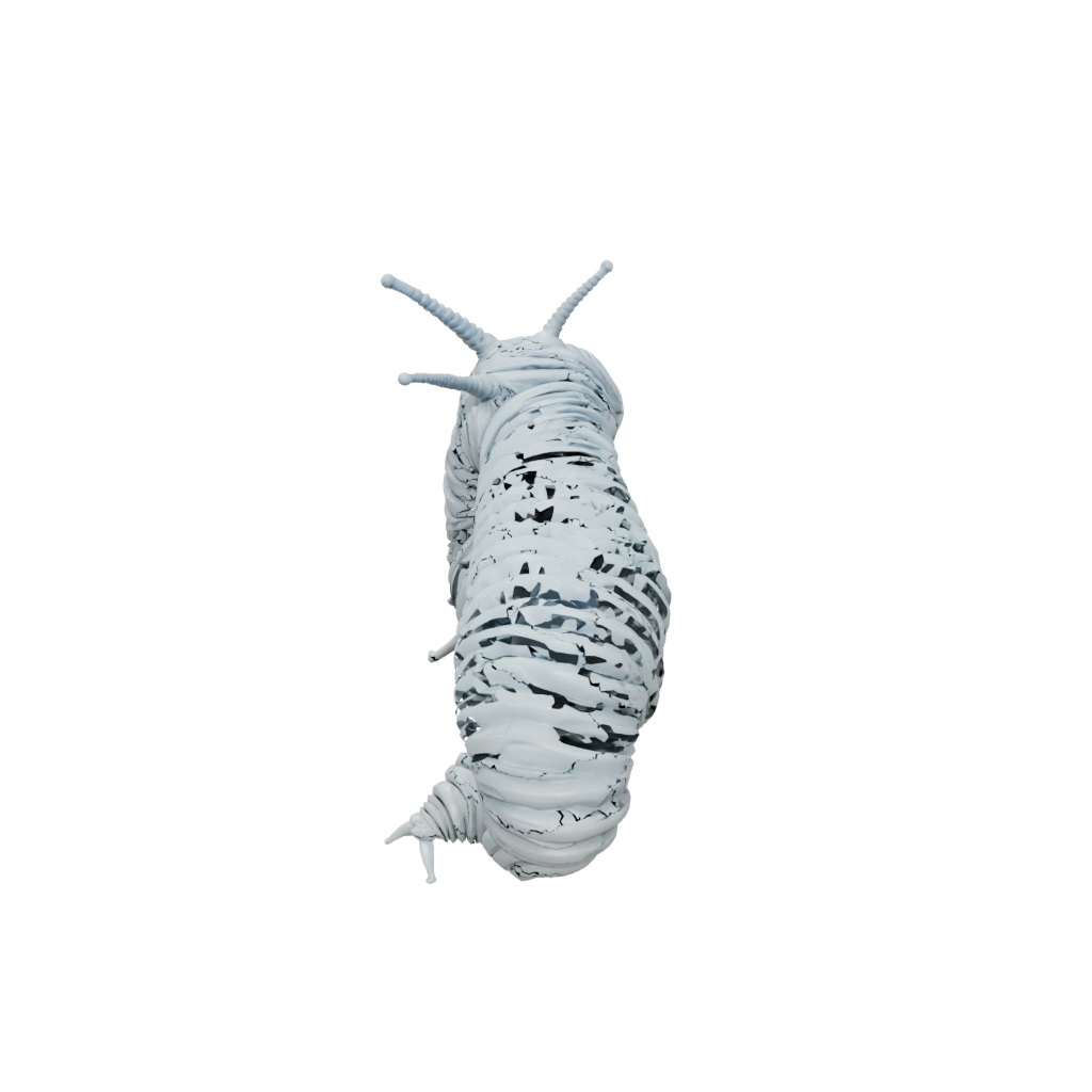 Mini Big Articulated Millipede