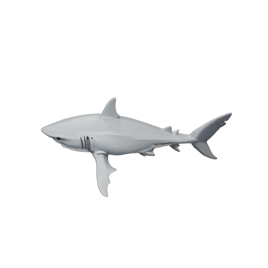 Mini Articulated Shark