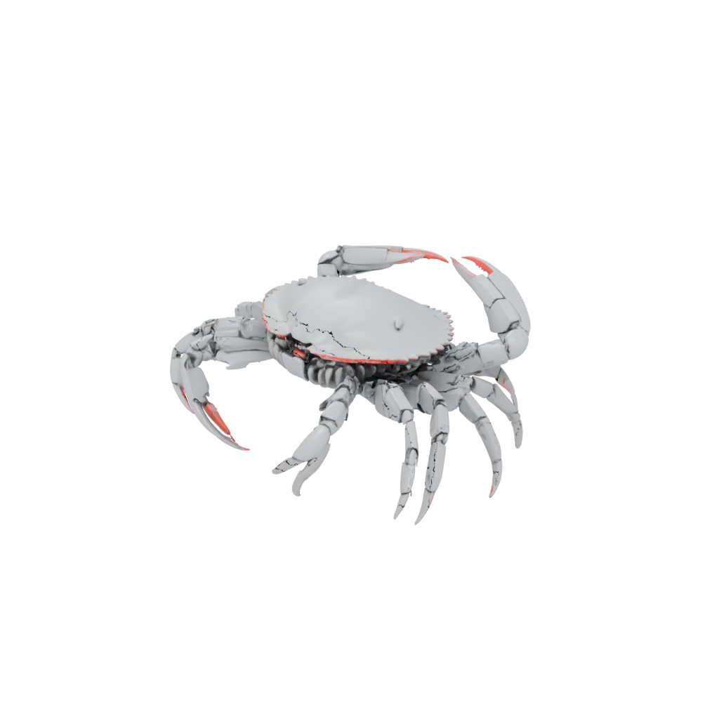 Neon Pocket Articulated Crab