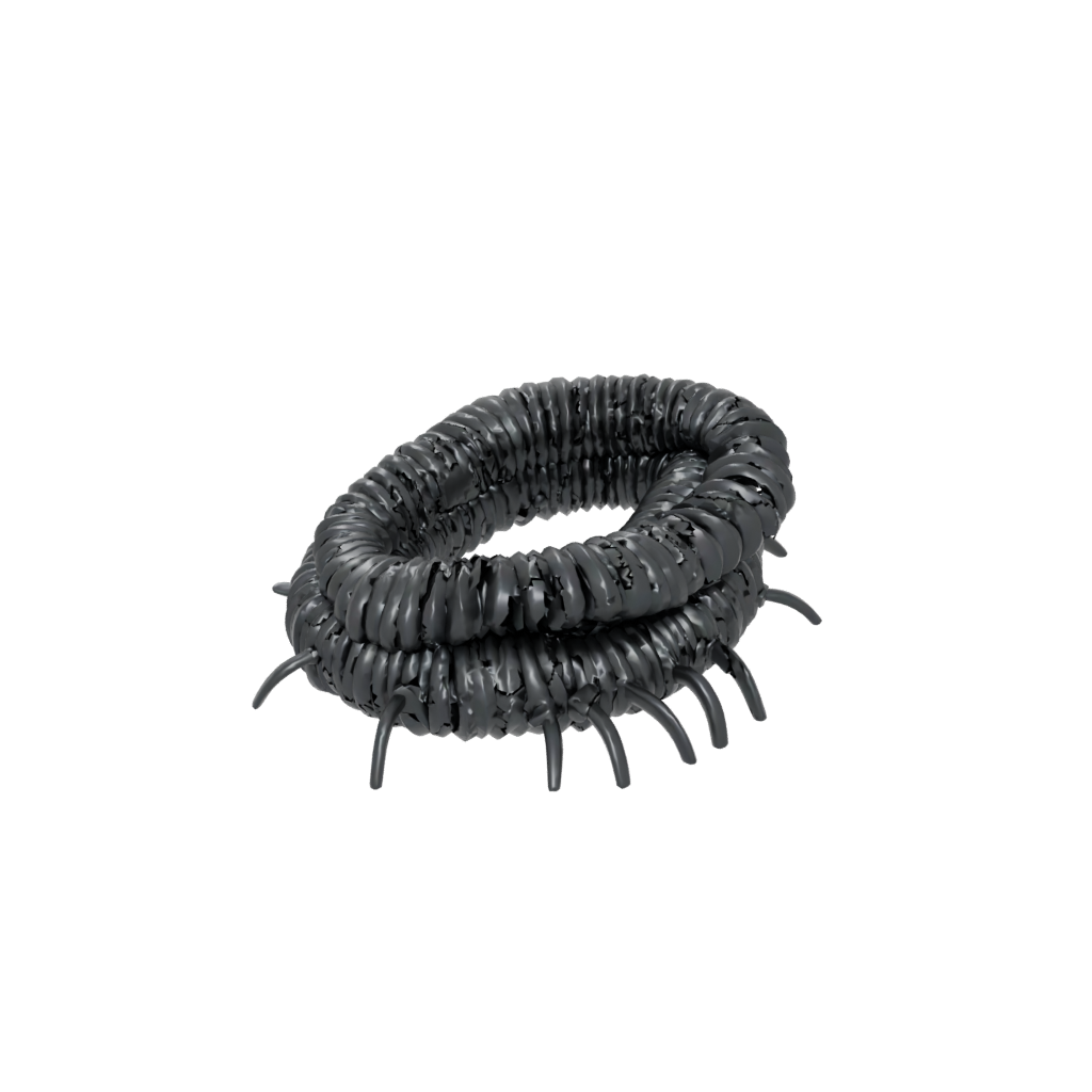 Obsidian Big Articulated Millipede