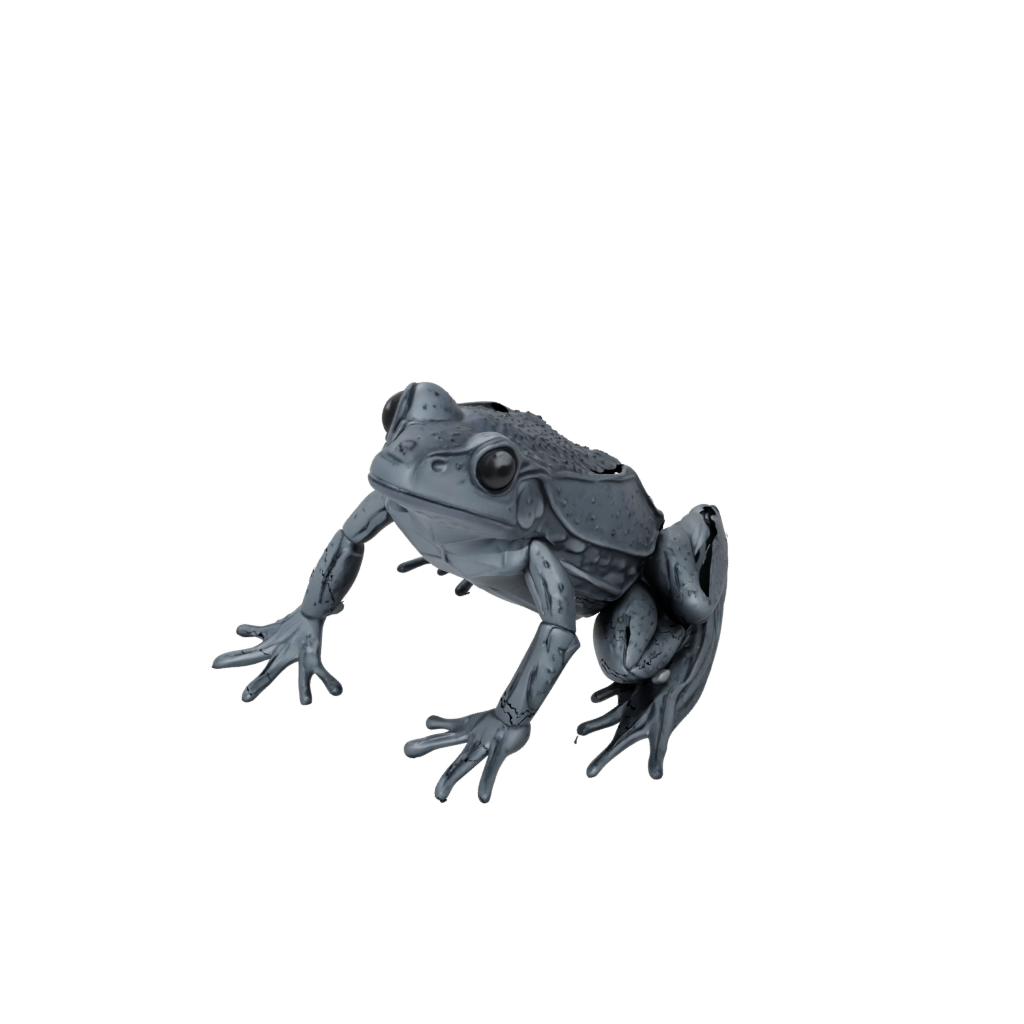 Obsidian Textured Articulated Frog