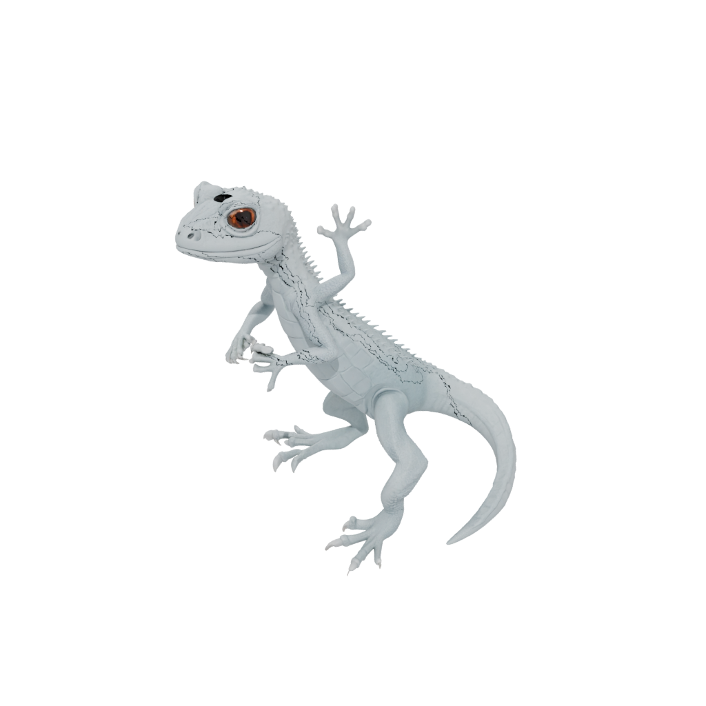 Big Articulated Gecko
