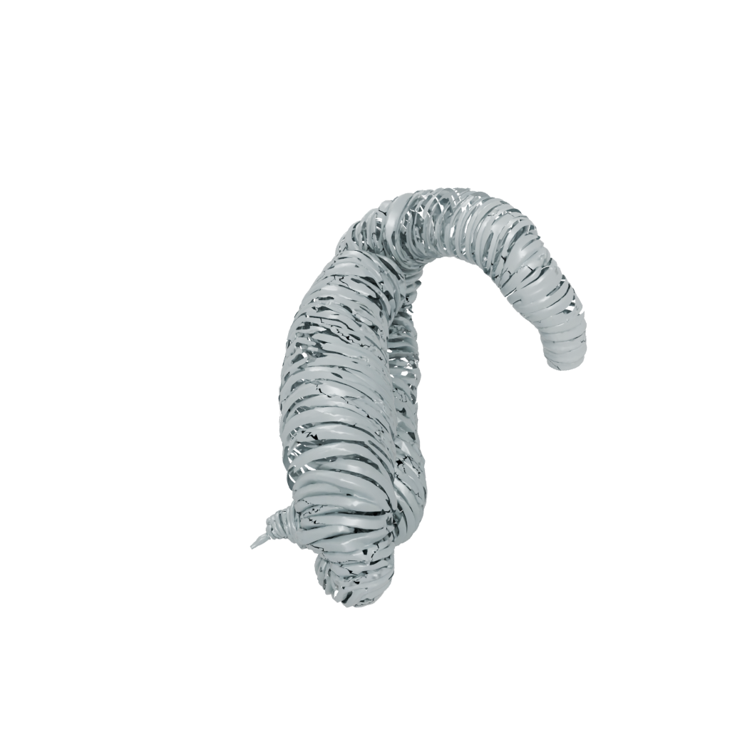 Big Articulated Millipede