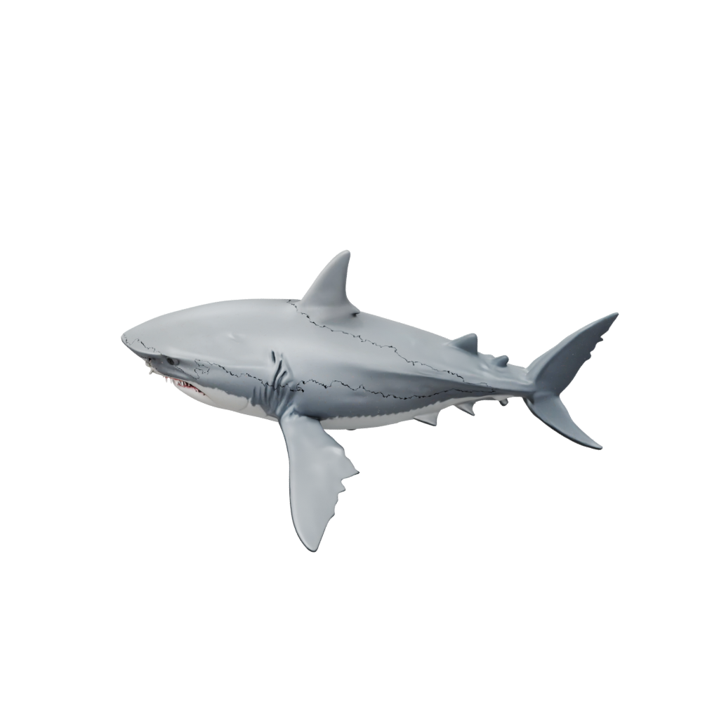 Big Articulated Shark