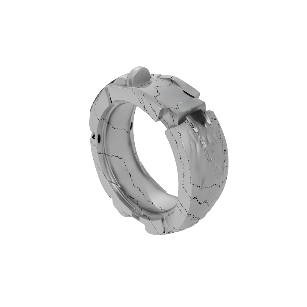 Big Spinning Coin Ring