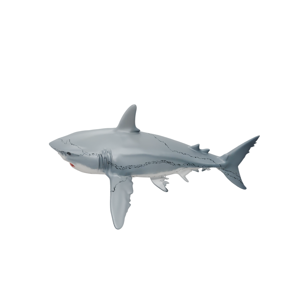 Pastel Big Articulated Shark