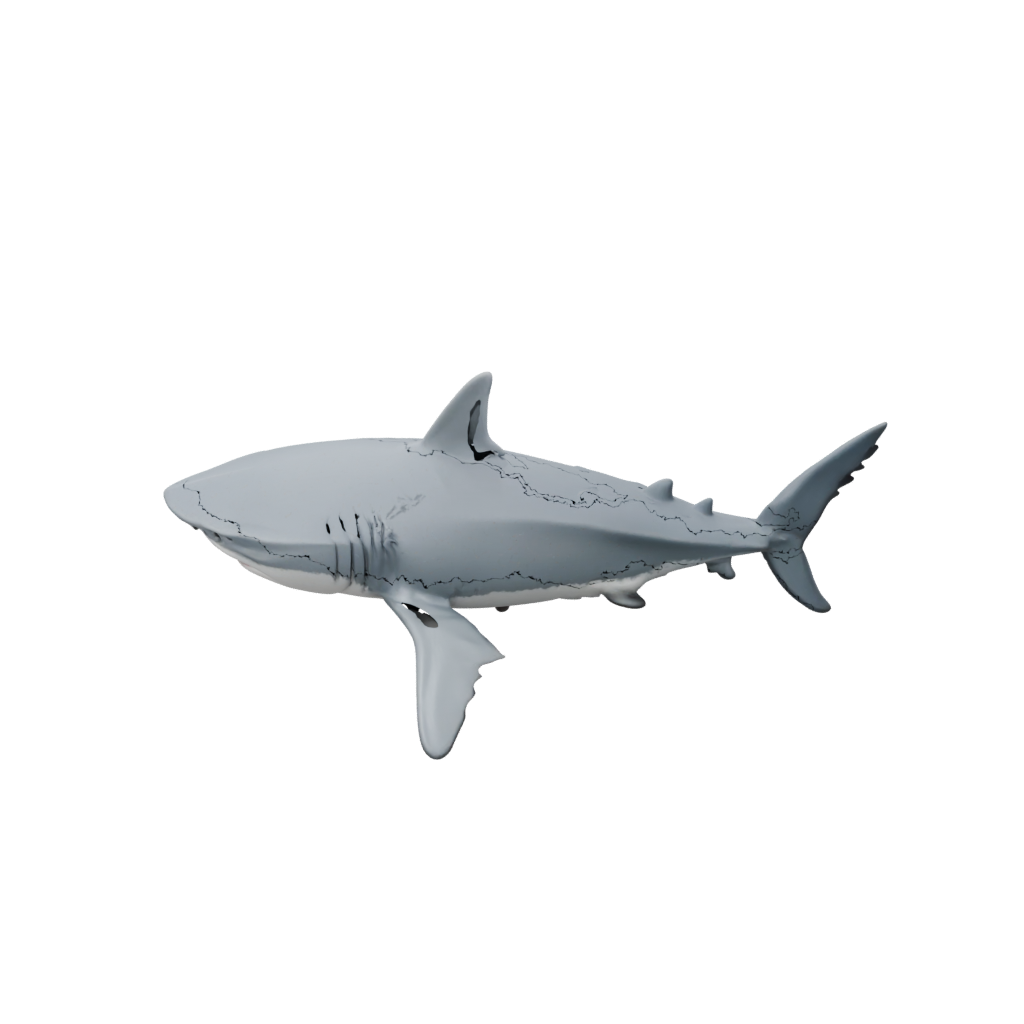 Pastel Soft Articulated Shark