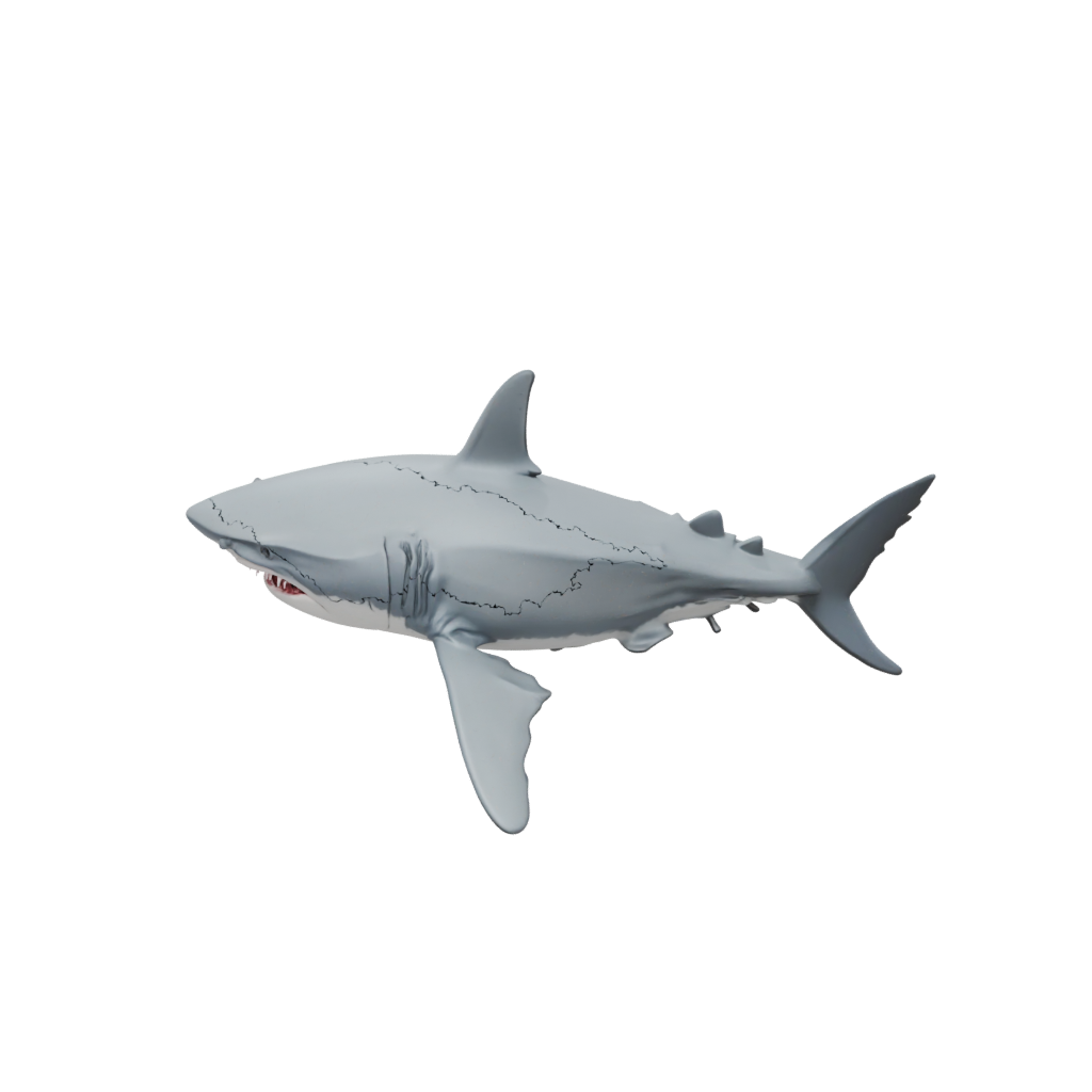 Pastel Articulated Shark