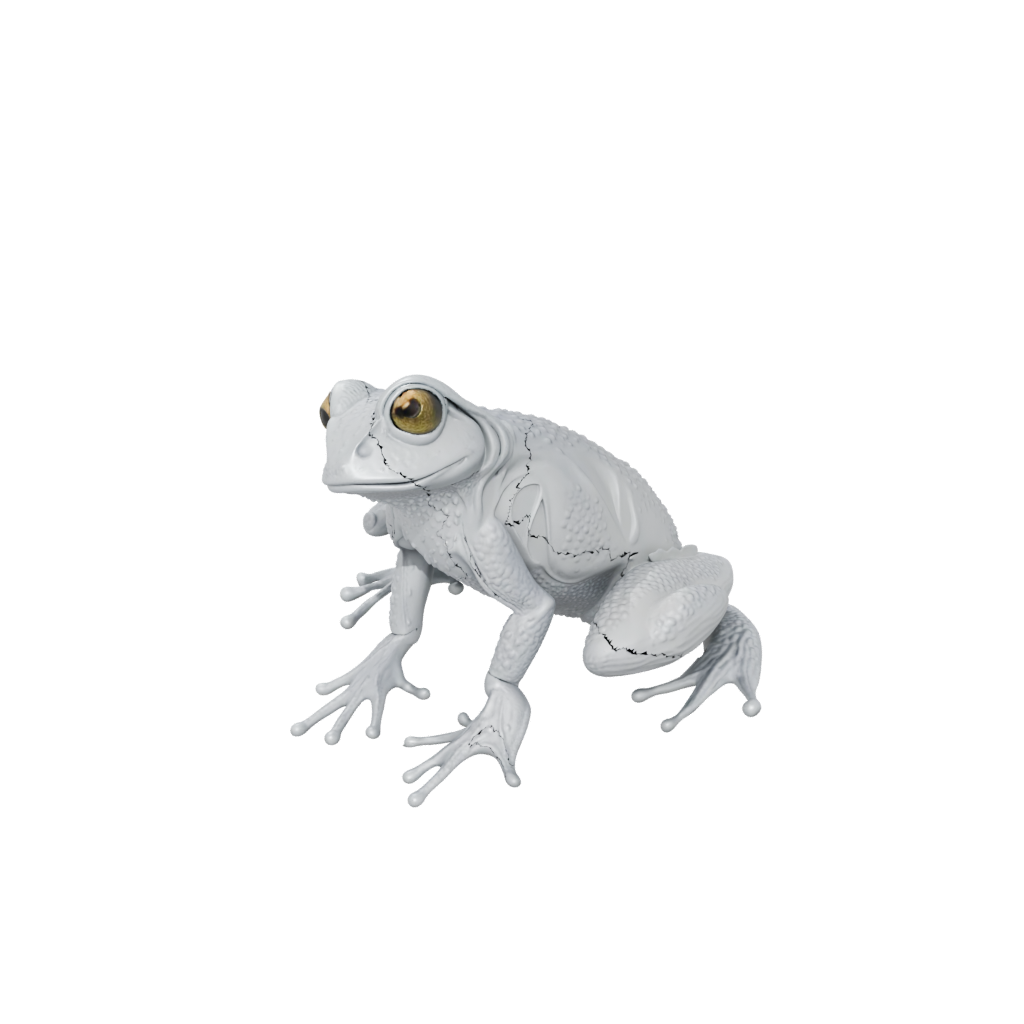 Textured Articulated Frog