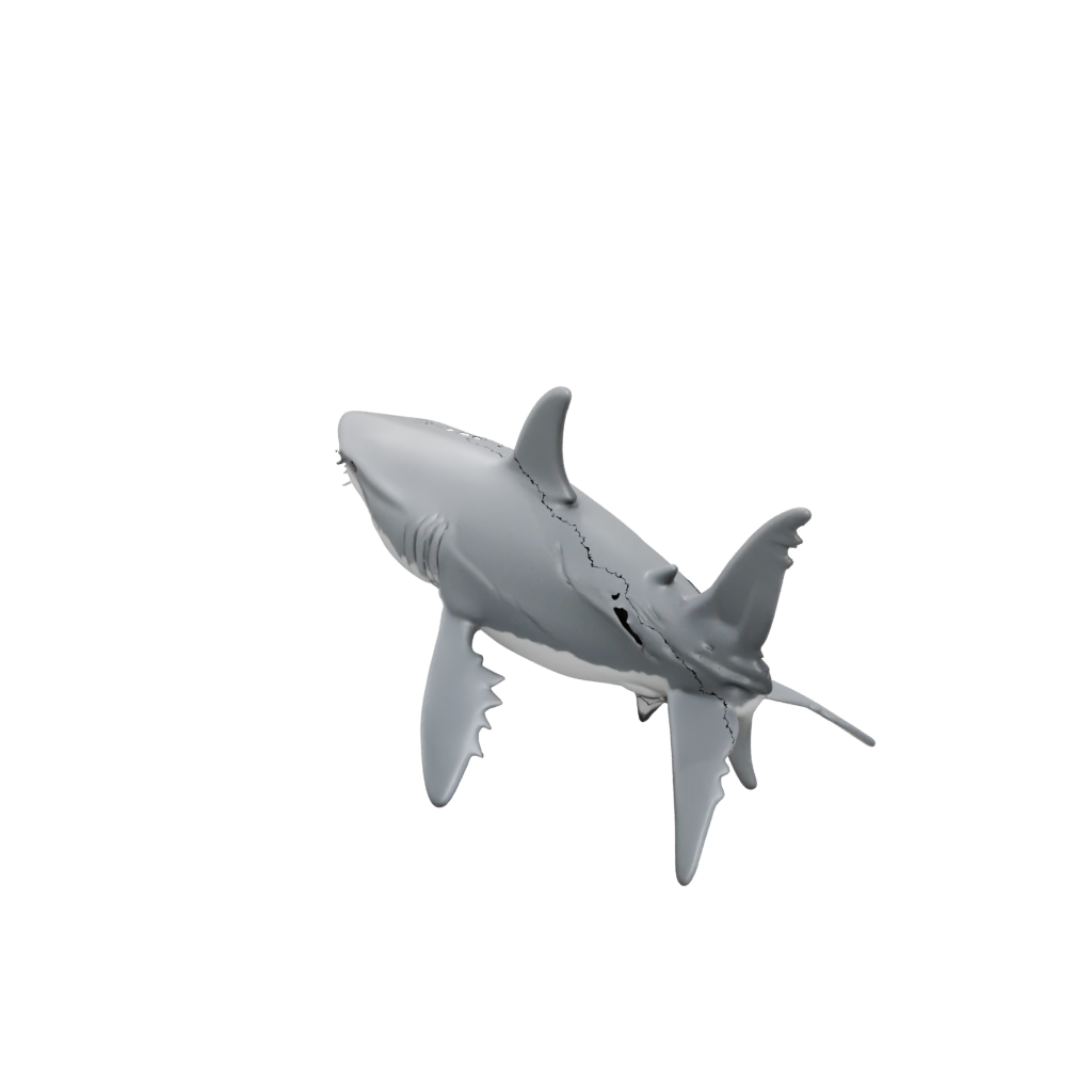 Textured Articulated Shark
