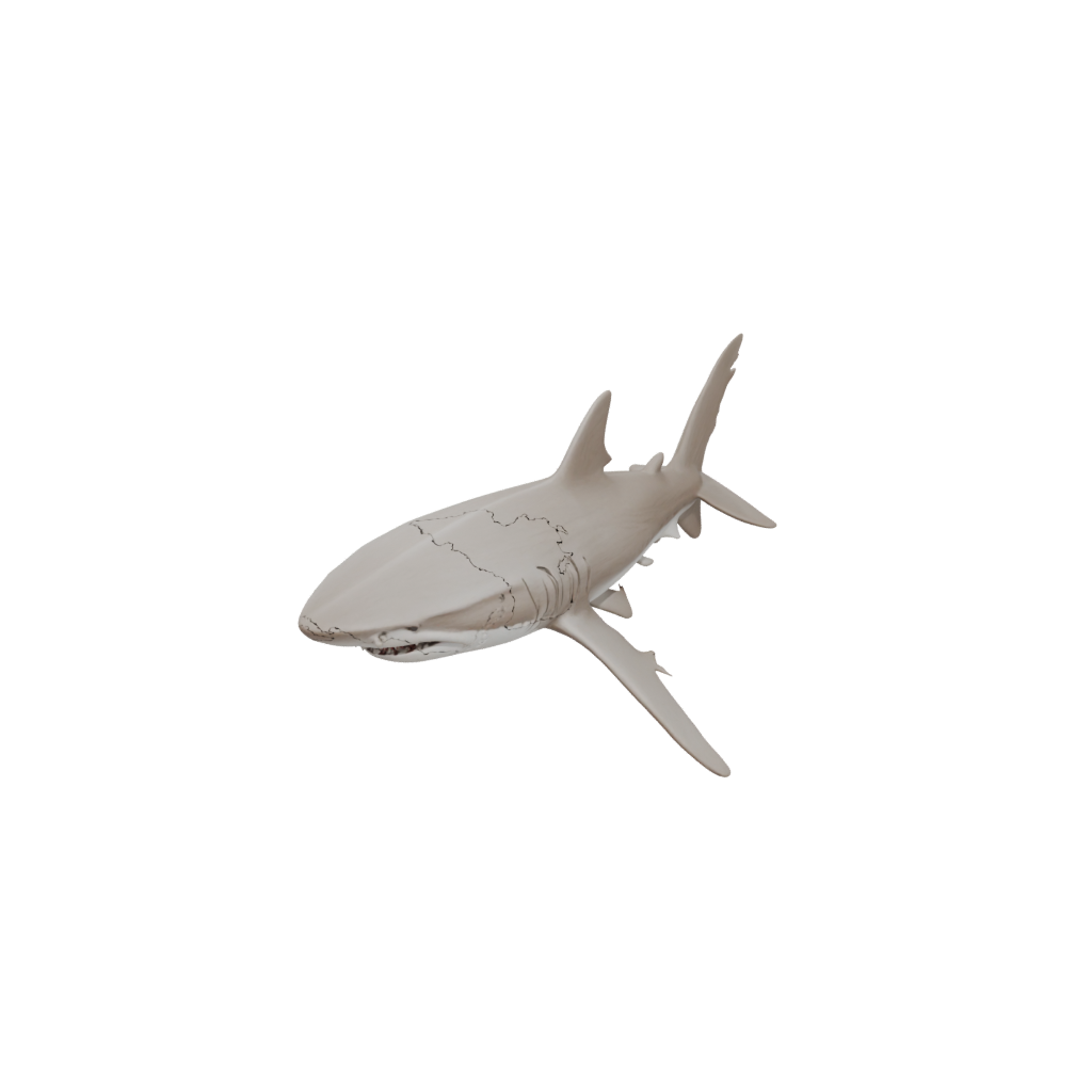 Woodgrain Soft Articulated Shark